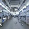 Everything You Need to Know About WMS Software